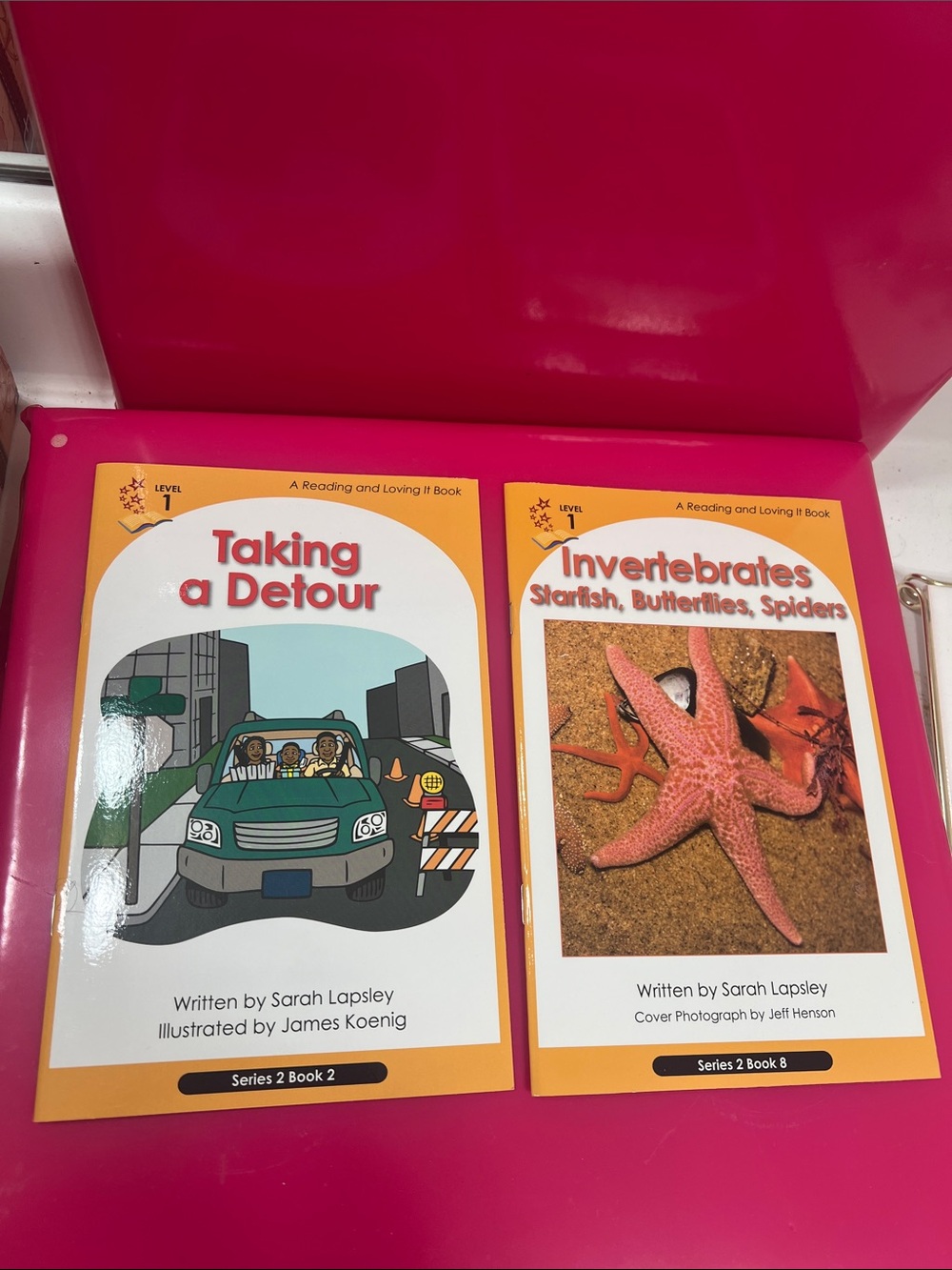 Level 1 - A Reading and Loving It Book Bundle by Sarah Lapsley - Picture 2 of 4